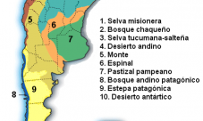 Mapa de biomas de Argentina